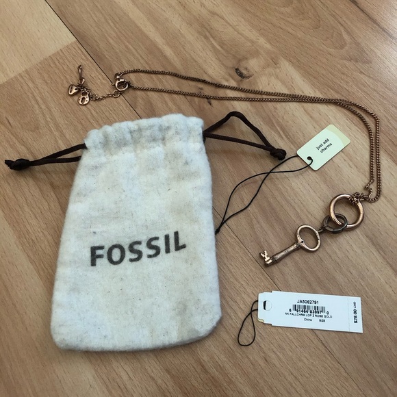 Fossil RoseGold Charm Starter Necklace w Key Charm - Picture 2 of 5